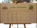 Grest_20-6 062